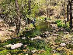 -玉渡山自然风景区
