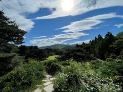 -国家植物园南园