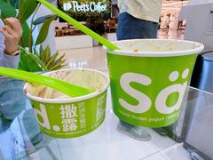 -Salud撒露欧洲冻酸奶(蓝色港湾店)