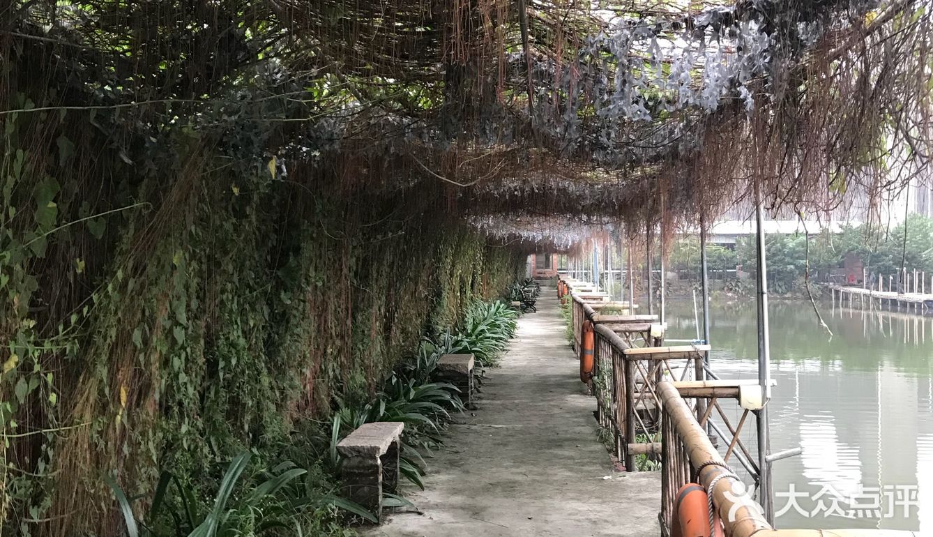在高架桥下的农庄，抬头往上遥望大桥，非常庞大
