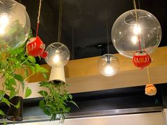 -柴务处·柴犬主题狗咖