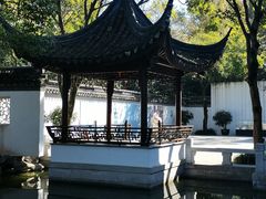 -秋霞圃