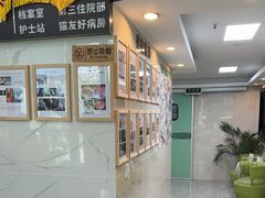 -半岛宠物医院24小时·内窥镜·牙科·碎石中心(府城大道店)