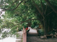 -成都市活水公园