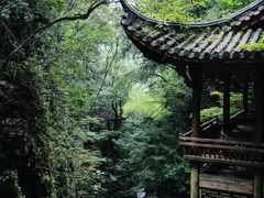 -藏龙百瀑风景区