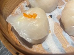 -环城公园