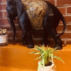 -时尚殿堂·颜SPA