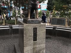 -涩谷区