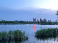 -永定河休闲森林公园