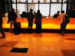 -上海龙之梦万丽酒店