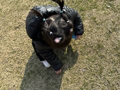 -桐乡凤凰湖