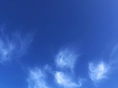 -上海滨江森林公园