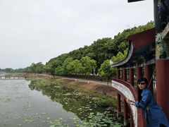 -洪湖生态旅游区