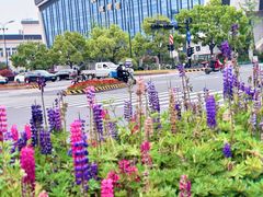 -杭州师范大学仓前新校区-体育场