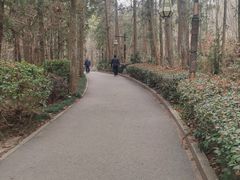 -冶父山国家森林公园