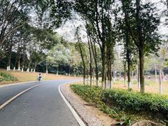 -松山湖风景区松湖烟雨