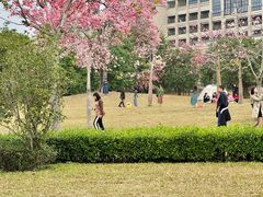 -风云岭森林公园