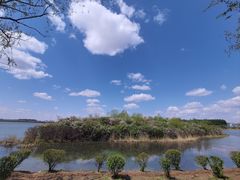 -丁香湖公园