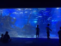 -江和美海洋公园