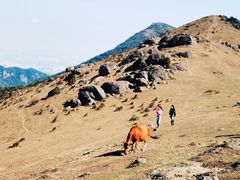 -大姆山草场