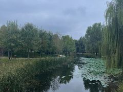 -东郊湿地公园
