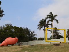 -漳州滨海火山岛自然生态风景区