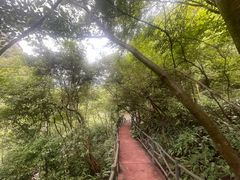 -浙北大峡谷