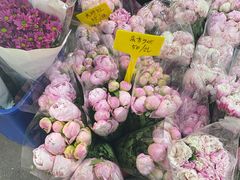 -循礼门鲜花花市(武汉循礼门店)