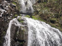 -藏龙百瀑风景区