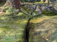 -西芳寺(苔寺)