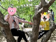 -朝阳公园游乐园