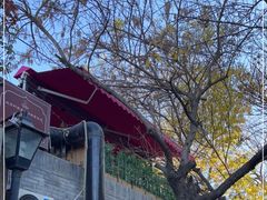 -Santoor 萨都里印度餐厅(北锣鼓巷店)