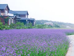 -渔岛海洋度假区