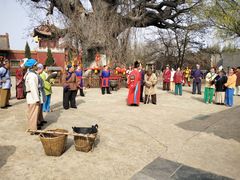 -大槐树寻根祭祖园