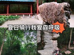 -赭山公园