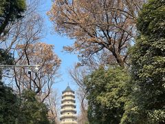-灵谷景区