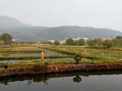 -比顿咖啡(和顺古镇店)