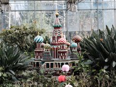 -南宫五洲植物乐园