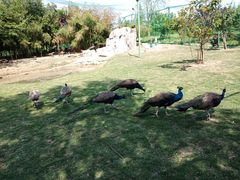 -泗洪洪泽湖湿地景区