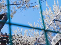 -雍和宫(地铁站)