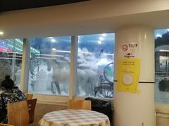-世界之窗阿尔卑斯冰雪世界