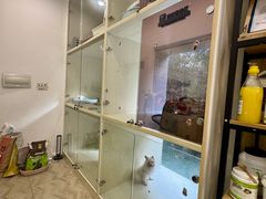 -Pets First伊珊娜洗护·精致美容·家庭式寄养(新会路店)