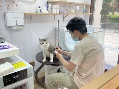 -佐罗家宠物馆·猫文化馆(紫霞路店)