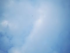 -海沧湾公园