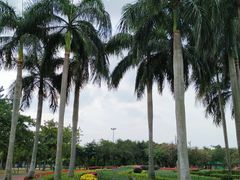 景点-万绿园