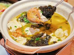 -避风塘·老港味餐厅·茶档(长宁龙之梦店)