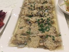 蒜蓉蒸蛏子-大鸿运酒店·苏州菜·松鼠桂鱼(观前街店)