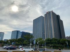 -大宁郁金香公园-停车场