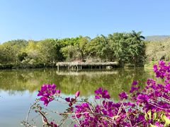 -大屏嶂森林公园