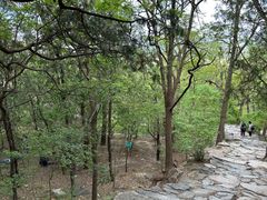 -北京鹫峰国家森林公园